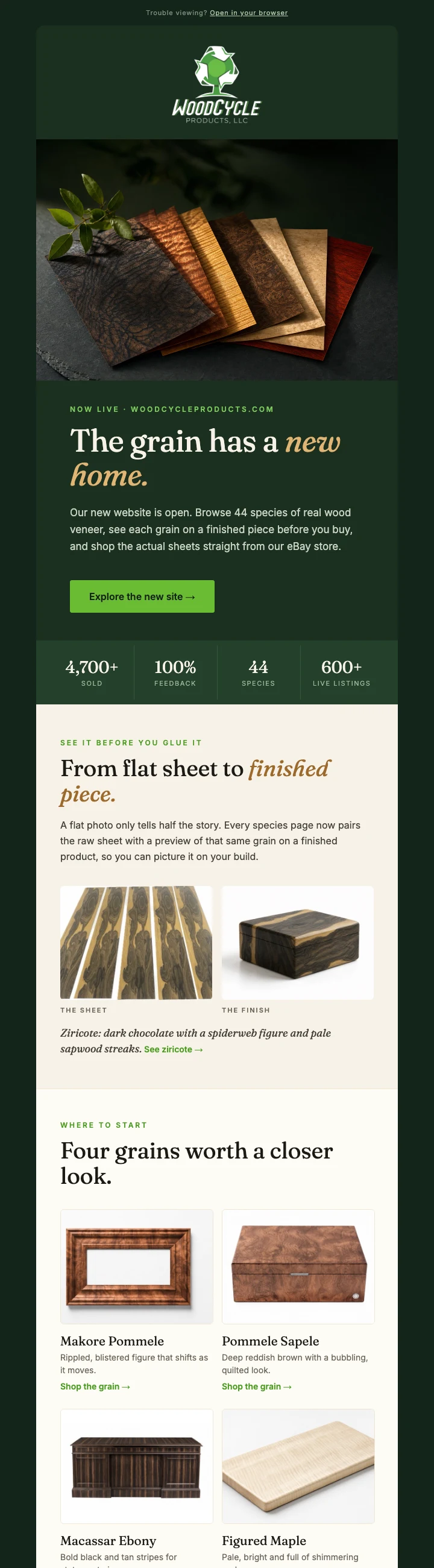 WoodCycle Products email design — full layout